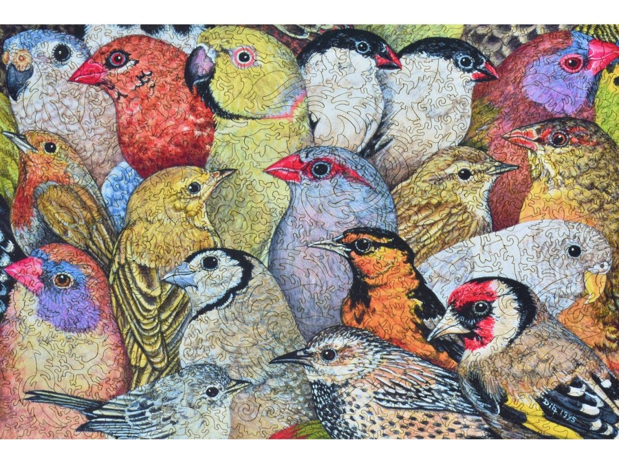 Puzzles Liberty Puzzles | Patchwork - Birds