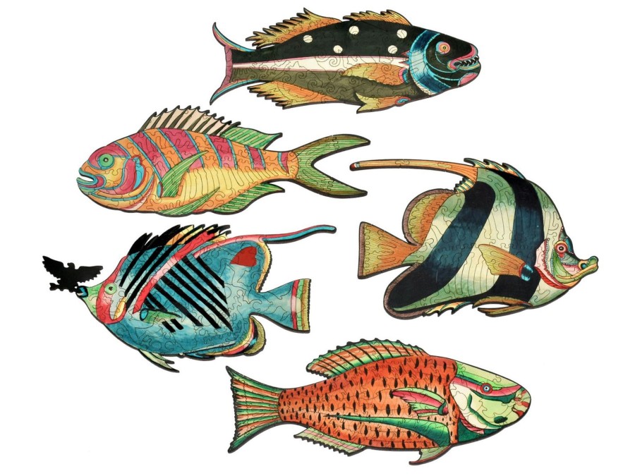 Puzzles Liberty Puzzles | Colorful Fish Of The East Indies