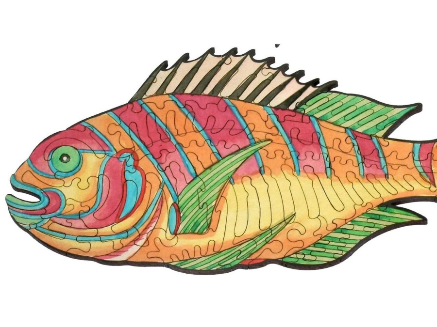 Puzzles Liberty Puzzles | Colorful Fish Of The East Indies