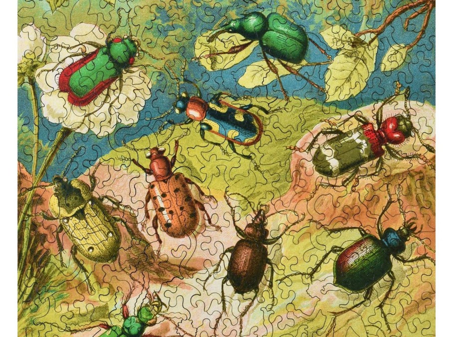 Puzzles Liberty Puzzles | Beetles