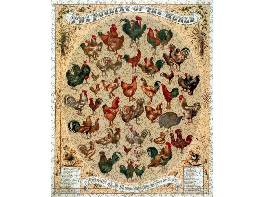 Puzzles Liberty Puzzles | Poultry Of The World