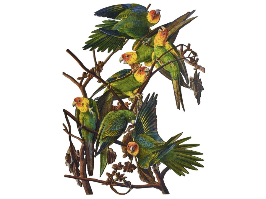 Puzzles Liberty Puzzles | Carolina Parakeet