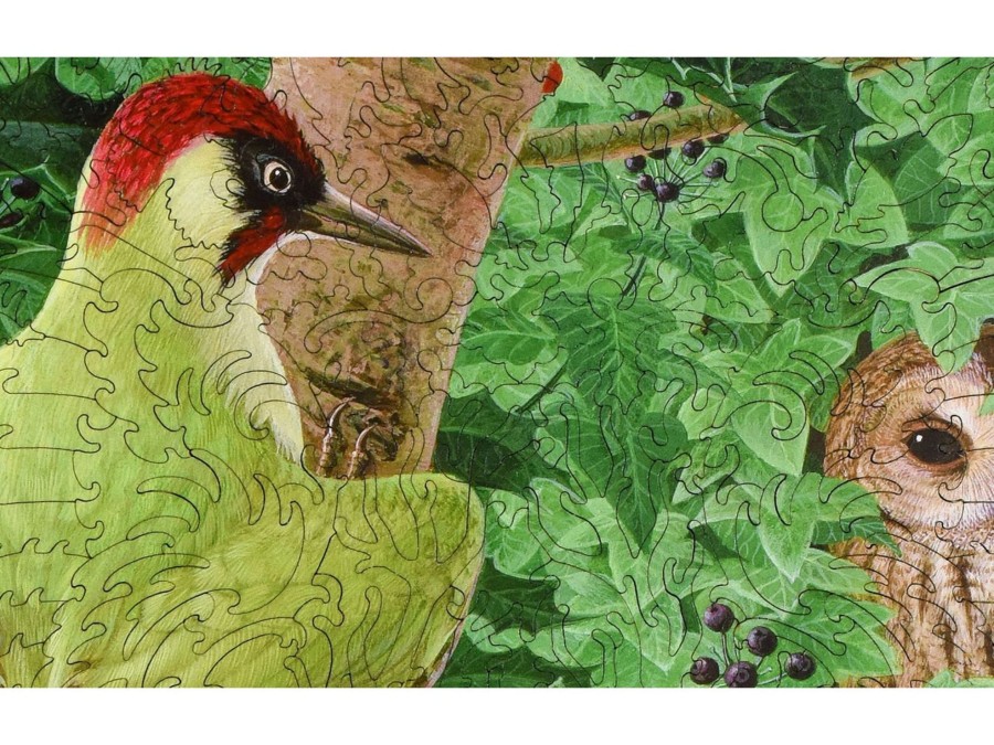 Puzzles Bridgeman | Woodpecker, Owl And Thrush