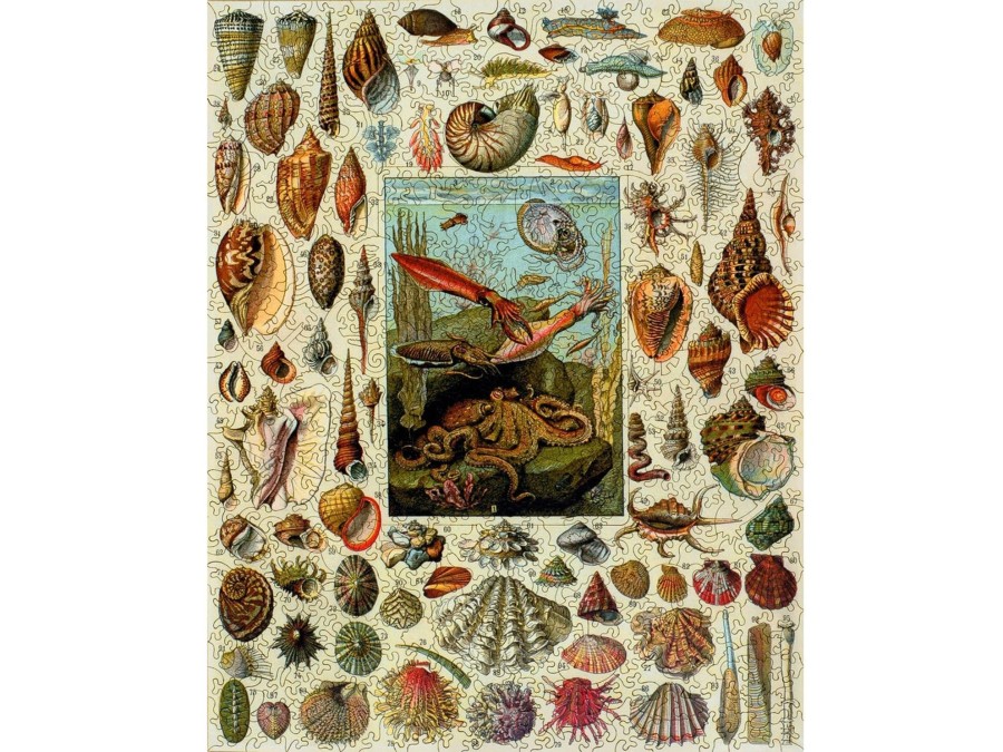 Puzzles Liberty Puzzles | Varieties Of Molluscs