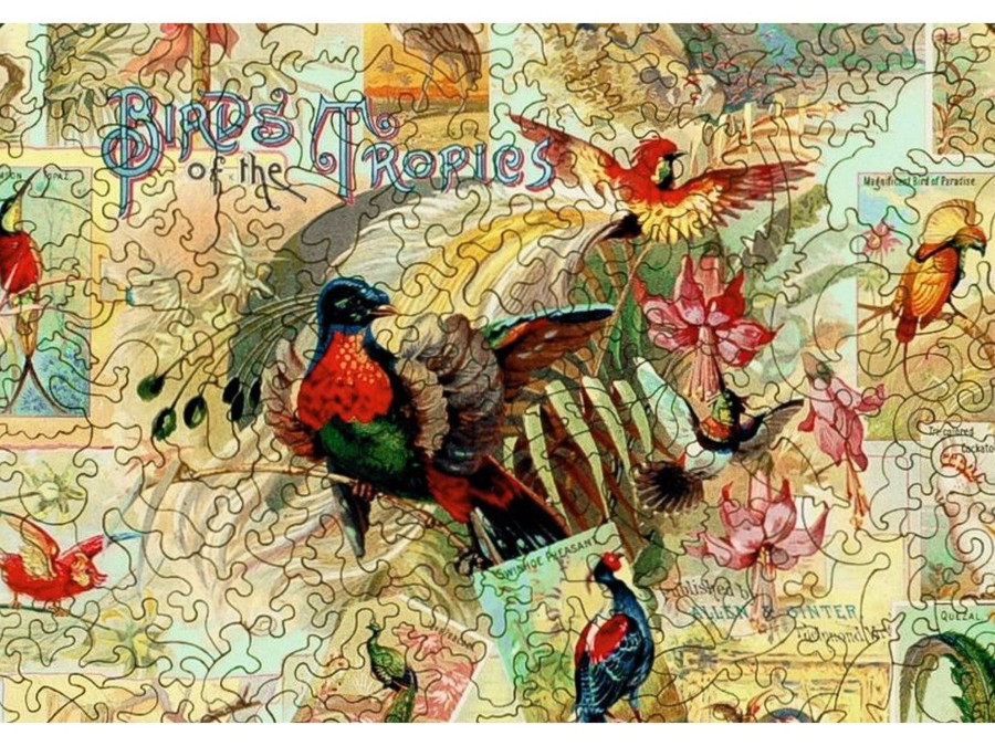 Puzzles Liberty Puzzles | Birds Of The Tropics