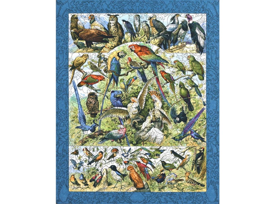 Puzzles Liberty Puzzles | Oiseaux: Varieties Of Birds